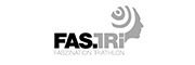Partner Logo Faszination Triathlon